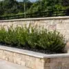 A planter with cream colored natural stone veneer.