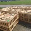 Crates of Pioneer Real Stone Veneer Ready to Ship