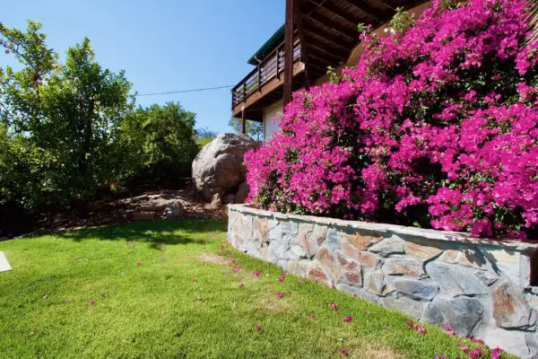 Landscape garden wall with Bonavista mosaic real thin stone veneer