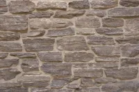 Brighton Natural Thin Ledgestone Veneer