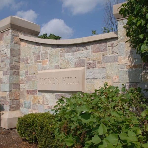 Ambrose Colorful Tailored Limestone Thin Veneer Quarry Mill