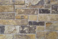 Buckskin Natural Thin Stone Veneer