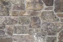 Swatch of Mossy Real Stone Veneer