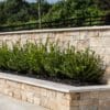 A planter with cream colored natural stone veneer.
