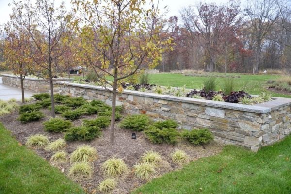 Ledgestone Real Thin Veneer Landscape Wall