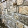 Reedley Natural Thin Stone Veneer Wainscoting Close-Up