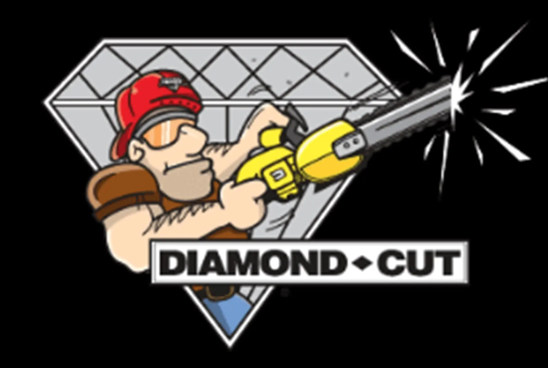 Diamond Cut, Inc.