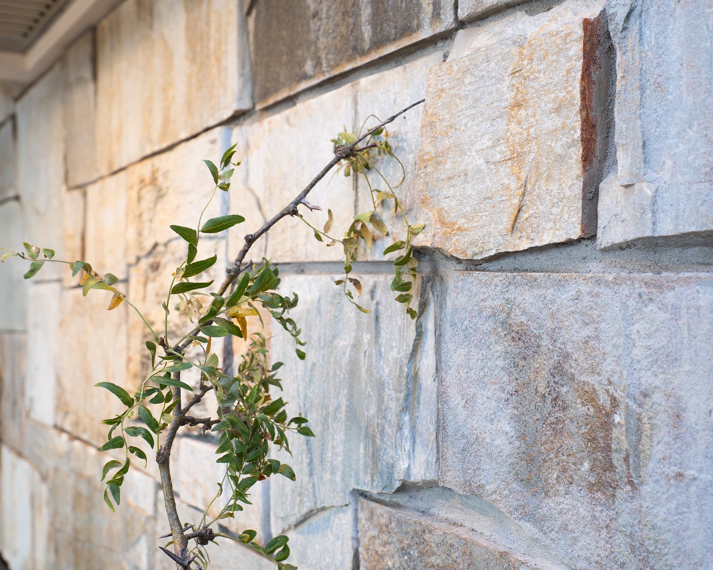 Westgate Natural Stone Veneer Close Up