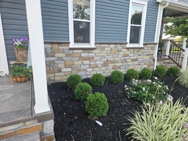 Cascade and Cabernet Natural Thin Stone Veneer Custom Blend Wainscoting