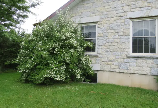 Jacksonport Natural Thin Stone Veneer Custom Large Height Tumbled Exterior Siding