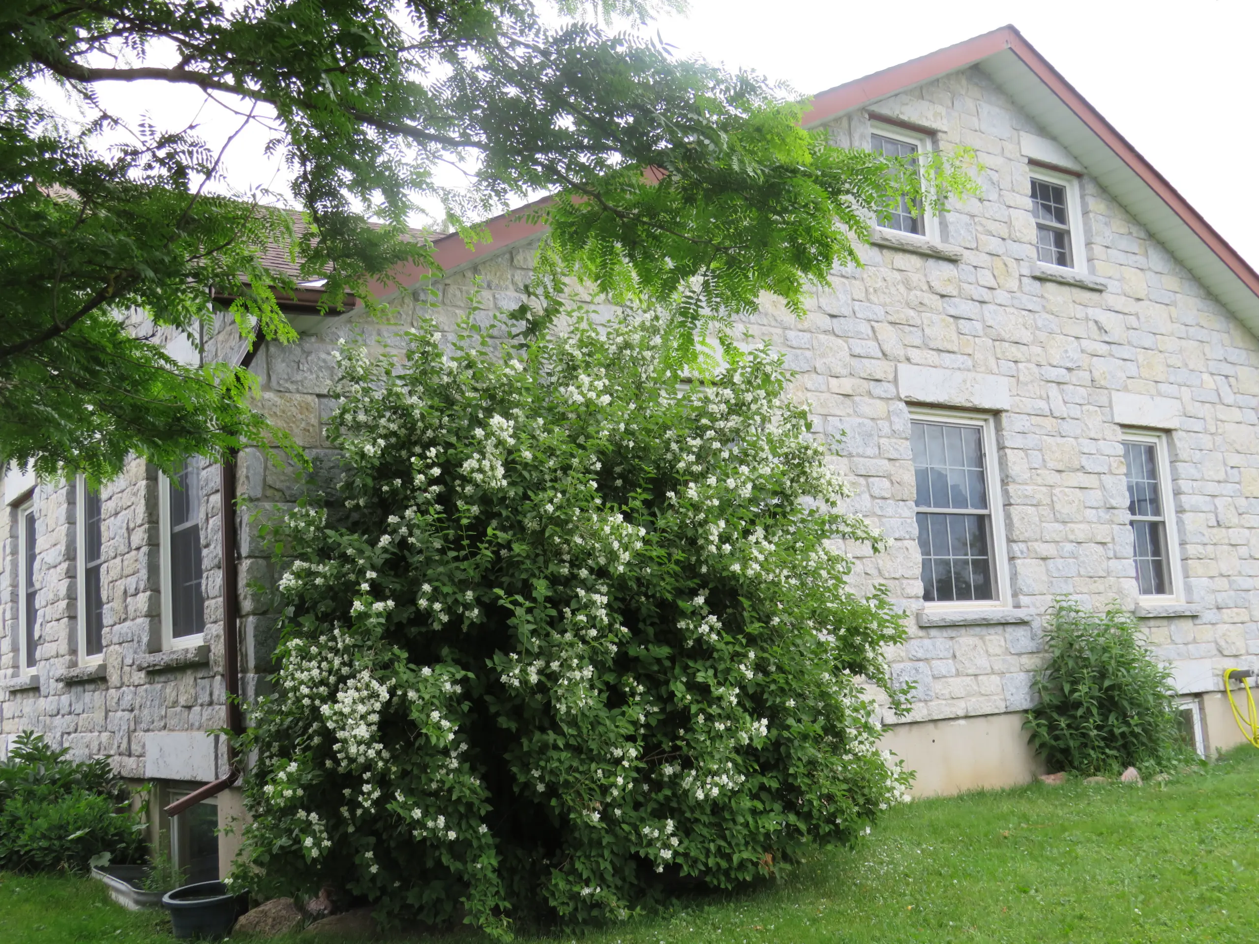 Jacksonport Real Thin Stone Veneer Custom Large Height Tumbled Exterior Siding