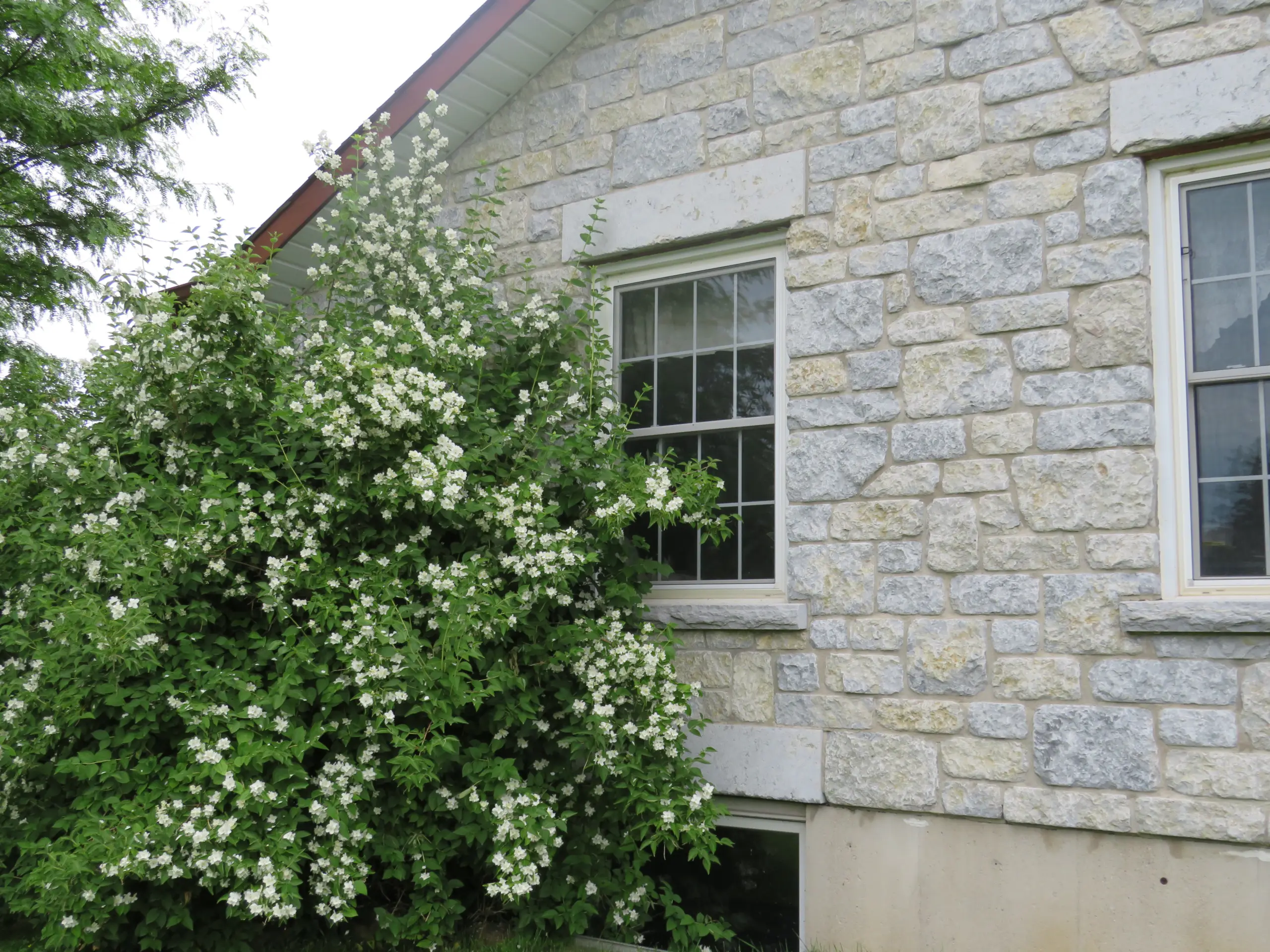 Jacksonport Real Thin Stone Veneer Custom Large Height Tumbled Exterior