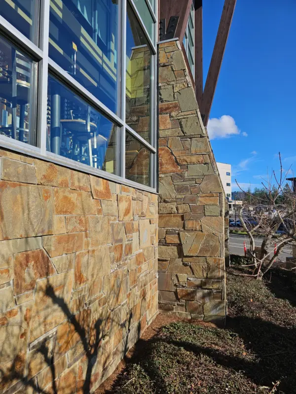 Lisse Real Thin Stone Veneer Commercial Wainscoting Exterior
