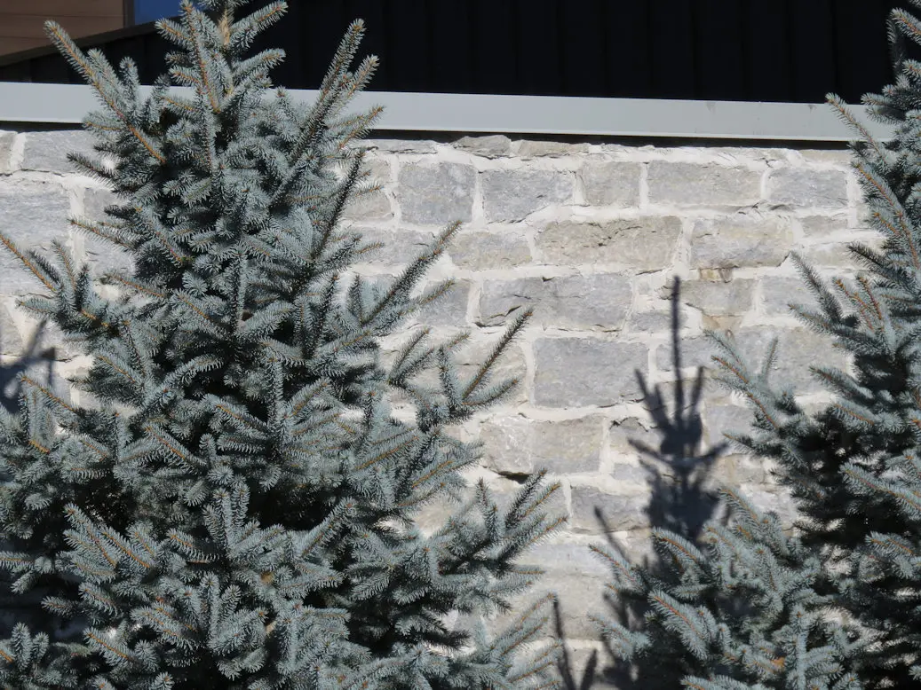 Larchmont Natural Thin Stone Veneer Modern Exterior Close Up