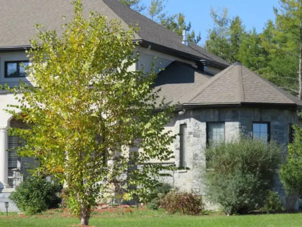 Logan Natural Thin Stone Veneer Turret Exterior