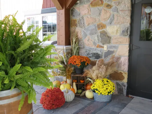 Grand Rapids Custom Color Natural Thin Stone Veneer Commercial Front Entrance Close Up