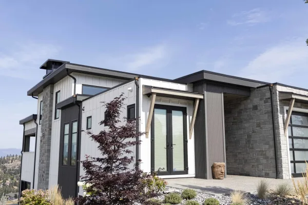 Hinsdale Real Thin Stone Veneer Modern Exterior